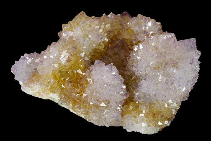 Cactus Quartz (Amethyst) Crystal Cluster - South Africa #137805